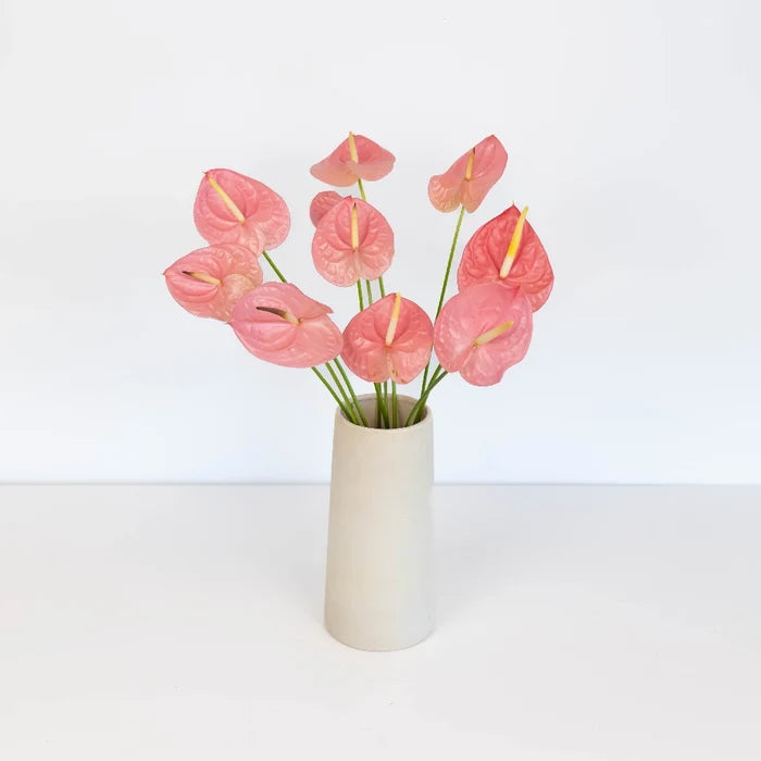 Anthurium Bubblegum Pink Tropical Flower Vase - Image