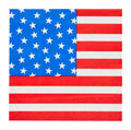 The image shows the United States flag, inspiring coastal party decor like Sophistiplate's Party in the USA Cocktail Napkins (26pk)—perfect for adding a patriotic touch to your gathering.