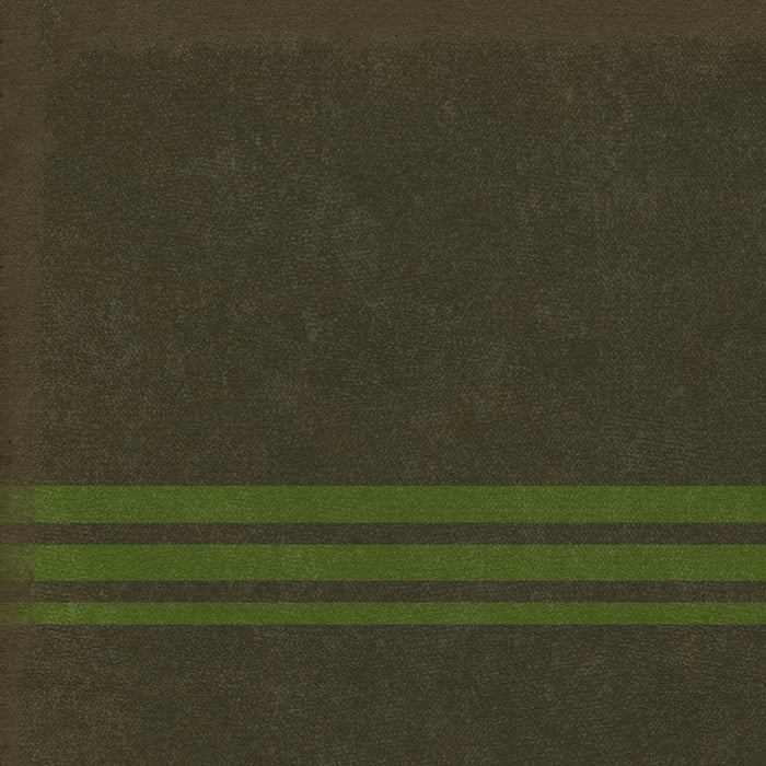 Pattern 50 - Organic Stripes Black And Green