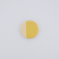 Sunshine Colored Slip