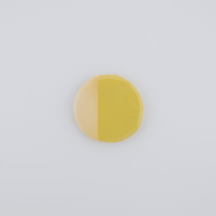 Sunshine Colored Slip