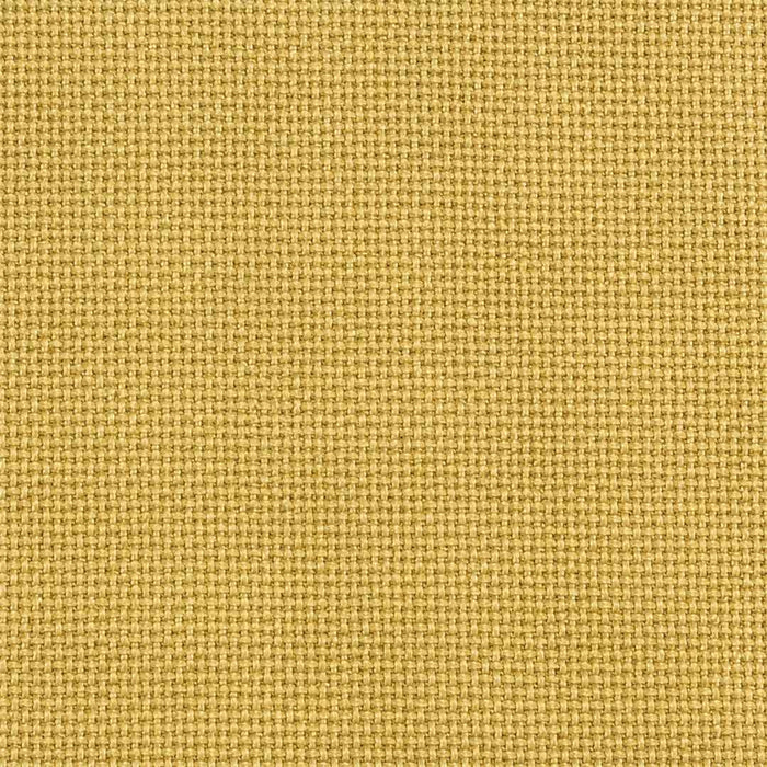 Mustard / Plain